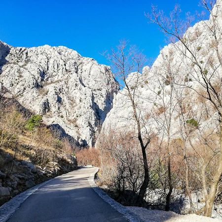 Apartments Marta Starigrad Paklenica Zewnętrze zdjęcie