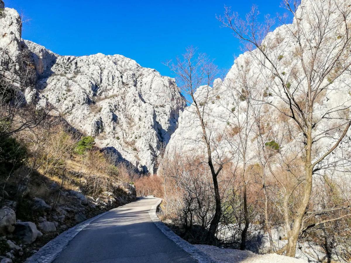 Apartments Marta Starigrad Paklenica Zewnętrze zdjęcie